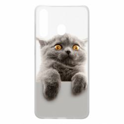 Чохол для Samsung A60 Original gray cat - PrintSalon