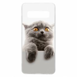 Чохол для Samsung S10 Original gray cat - PrintSalon