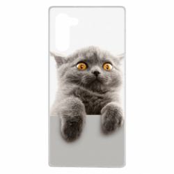 Чохол для Samsung Note 10 Original gray cat - PrintSalon