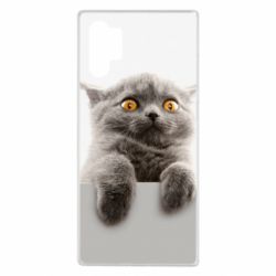 Чохол для Samsung Note 10 Plus Original gray cat - PrintSalon