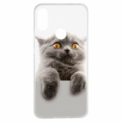 Чохол для Xiaomi Redmi Note 7 Original gray cat - PrintSalon