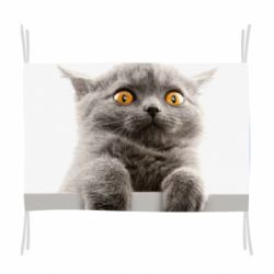 Флаг Original gray cat