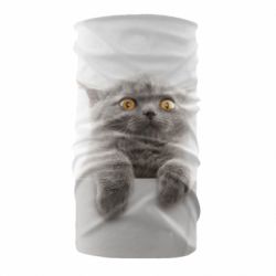 Бандана Original gray cat