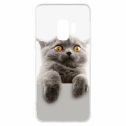 Чохол для Samsung S9 Original gray cat - PrintSalon