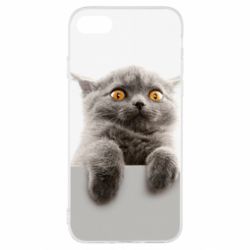 Чохол для iPhone SE 2020 Original gray cat - PrintSalon