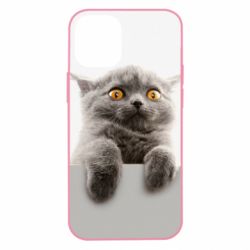 Чохол для iPhone 12 mini Original gray cat - PrintSalon