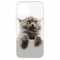 Чохол для iPhone 12 Pro Max Original gray cat - PrintSalon