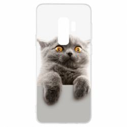Чохол для Samsung S9+ Original gray cat - PrintSalon