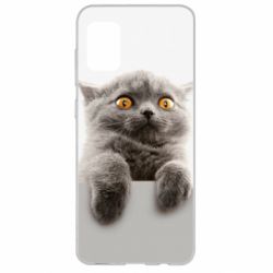 Чохол для Samsung A31 Original gray cat - PrintSalon