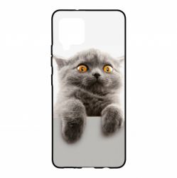 Чохол для Samsung A42 5G Original gray cat - PrintSalon