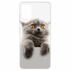 Чохол для Samsung A51 Original gray cat - PrintSalon