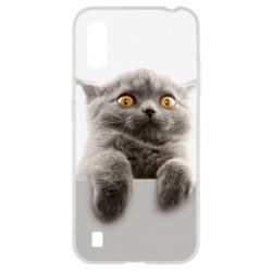 Чохол для Samsung A01 / M01 Original gray cat - PrintSalon