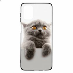 Чохол для Samsung M51 Original gray cat - PrintSalon