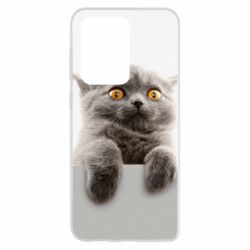 Чохол для Samsung S20 Ultra Original gray cat - PrintSalon
