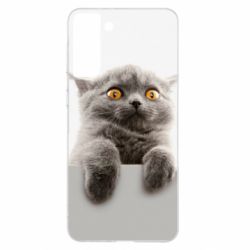 Чохол для Samsung S21+ Original gray cat - PrintSalon