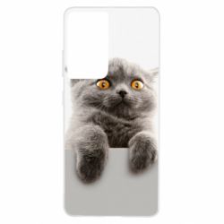 Чохол для Samsung S21 Ultra Original gray cat - PrintSalon