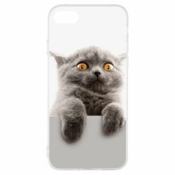 Чохол для iPhone 8 Original gray cat - PrintSalon