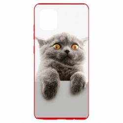 Чохол для Samsung Note 10 Lite Original gray cat - PrintSalon