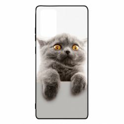 Чохол для Samsung Note 20 Original gray cat - PrintSalon