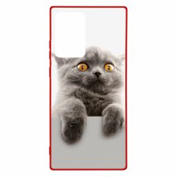 Чохол для Samsung Note 20 Ultra Original gray cat - PrintSalon