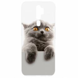 Чохол для Oppo A5/A9 2020 Original gray cat - PrintSalon