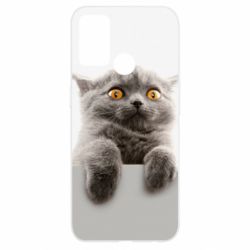 Чохол для Oppo A52 / A72 / A92Original gray cat - PrintSalon