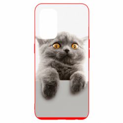 Чохол для Oppo Reno 5 4G Original gray cat - PrintSalon