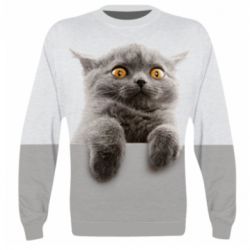 3D світшот Original gray cat