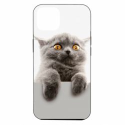 Чохол для iPhone 14 Original gray cat - PrintSalon