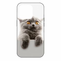 Чохол для iPhone 14 Pro Original gray cat - PrintSalon