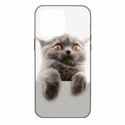 Чохол для iPhone 14 Pro Max Original gray cat - PrintSalon