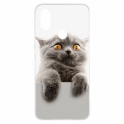 Чохол для Xiaomi Mi A2 Original gray cat - PrintSalon