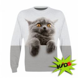Дитячий 3D світшот Original gray cat