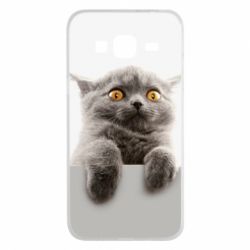 Чохол для Samsung J3 2016 Original gray cat - PrintSalon