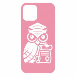 Чехол для iPhone 12 Pro Owl Lawyer - PrintSalon