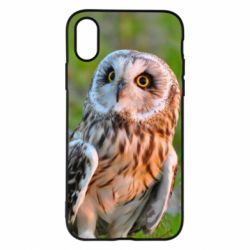 Чохол для iPhone X/Xs Owl on green field - PrintSalon