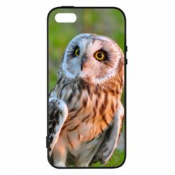 Чохол для iphone 5/5S/SE Owl on green field - PrintSalon
