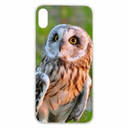 Чохол для iPhone Xs Max Owl on green field - PrintSalon