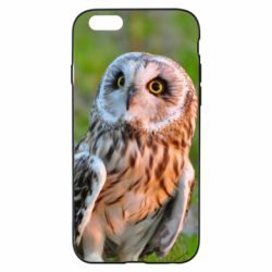 Чохол для iPhone 6/6S Owl on green field - PrintSalon