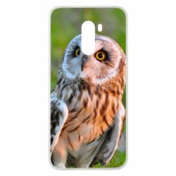 Чехол для Xiaomi Pocophone F1 Owl on green field-PrintSalon Чехол для Xiaomi Pocophone F1 Owl on green field