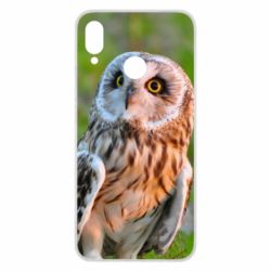 Чохол для Huawei P Smart Plus 2018 Owl on green field - PrintSalon