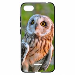 Чохол для Xiaomi Redmi 6A Owl on green field - PrintSalon