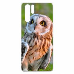 Чохол для Huawei P30 Pro Owl on green field - PrintSalon