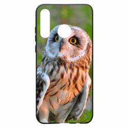 Чохол для Huawei P30 Lite Owl on green field - PrintSalon