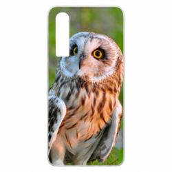 Чехол для Huawei P30 Owl on green field