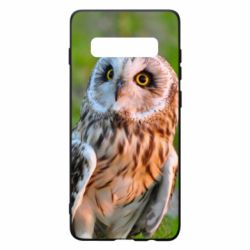 Чохол для Samsung S10+ Owl on green field - PrintSalon