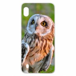 Чохол для Samsung A10 Owl on green field-PrintSalon Чохол для Samsung A10 Owl on green field