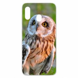 Чохол для Samsung A30 Owl on green field - PrintSalon