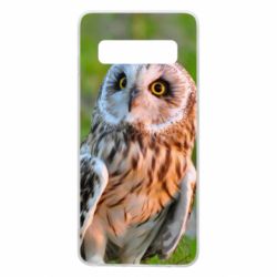 Чохол для Samsung S10 Owl on green field