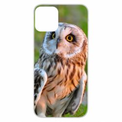 Чохол для iPhone 11 Owl on green field-PrintSalon Чохол для iPhone 11 Owl on green field